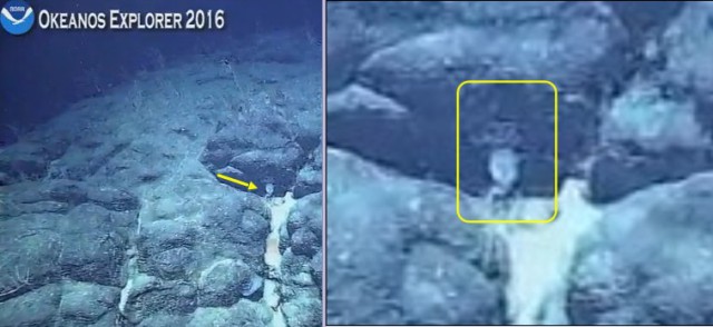 Началась онлайн-трансляция происходящего в самом глубоком месте Земли