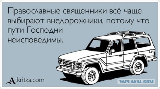 Порция картинок из сети