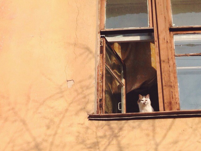 Подборка "тёплых, уютных, домашних" фотографий. Часть 9