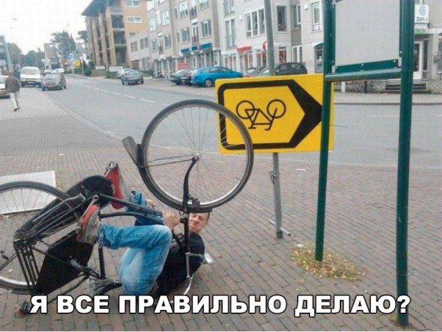 Подборка интересных и веселых картинок