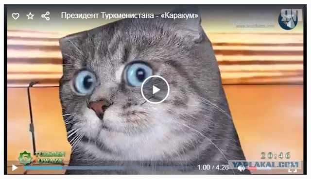 Президент Туркменистана исполняет песню "Каракум"