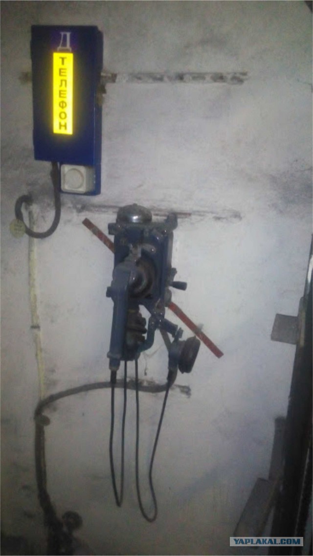 Таинственная дверь в 10 лет и в 30