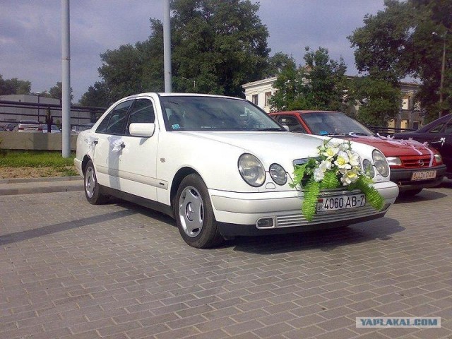 Тазы с внешностью Volvo и Mercedes
