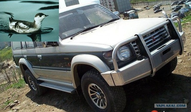Клички у автомобилей
