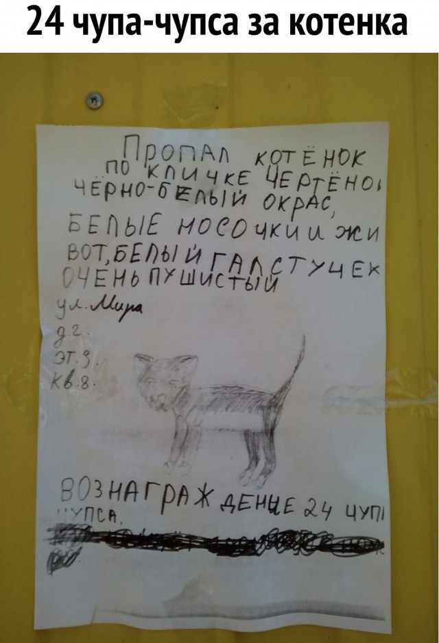 Смешные объявления, надписи и вывески