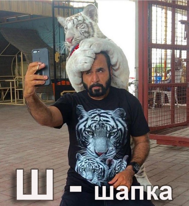 Подборка интересных и веселых картинок