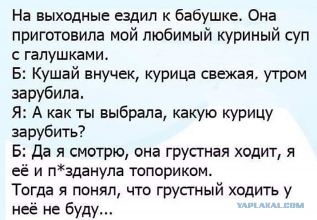 Много картинок в эту пятницу
