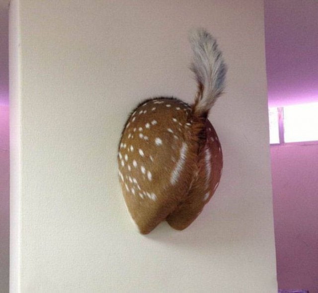 Фото, на которых все могло бы быть нормально, если бы не одно но...