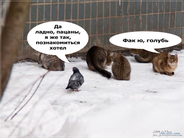 Потерявший страх!