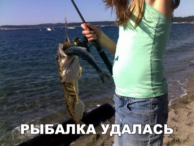 Нестандартный юмор
