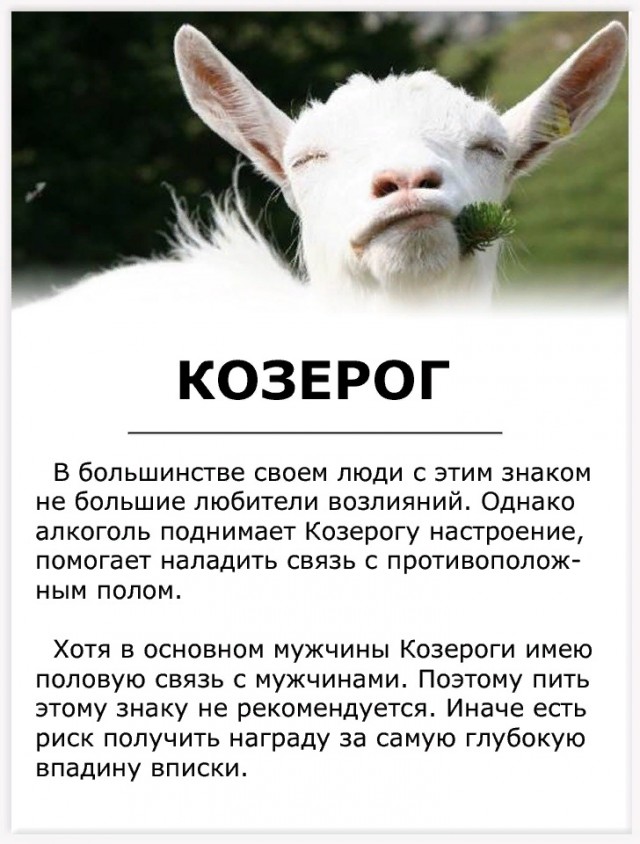 Картинки про козерога смешные, картинки
