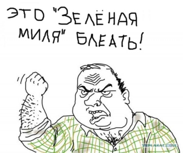 Котенок-целитель