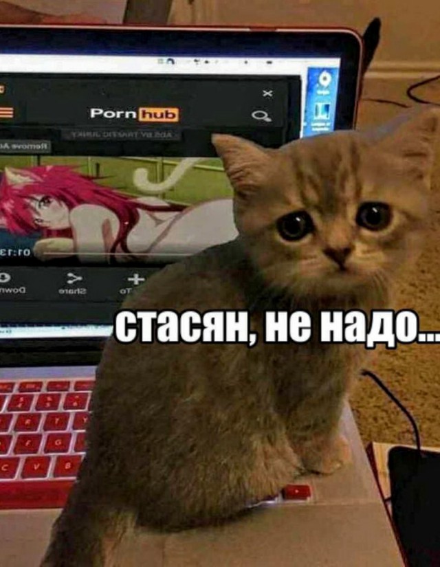 Анекдоты, соц-сети и картинки с надписями