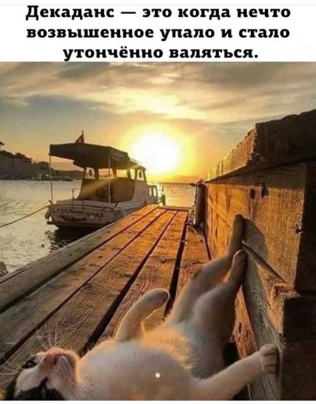 Просто 45 фоток