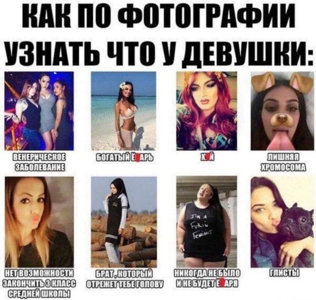 Применим физику в постели или белка и стрелка. Картинки