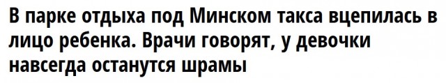 Такса. Девочка. Происшествие под Минском.