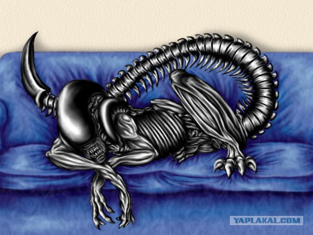 Культовые сцены и много знакомых персонажей