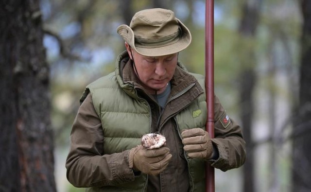 Во сколько миллионов рублей обошлась стране одна сыроежка для Путина?