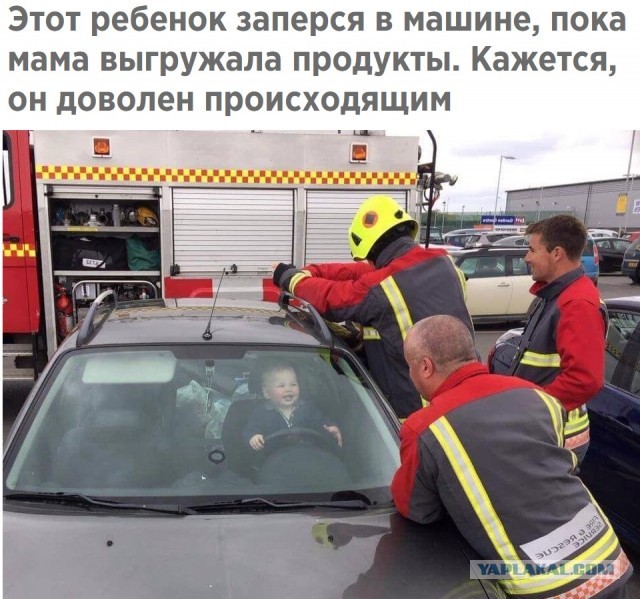 Подборка интересных и веселых картинок 27.04.20