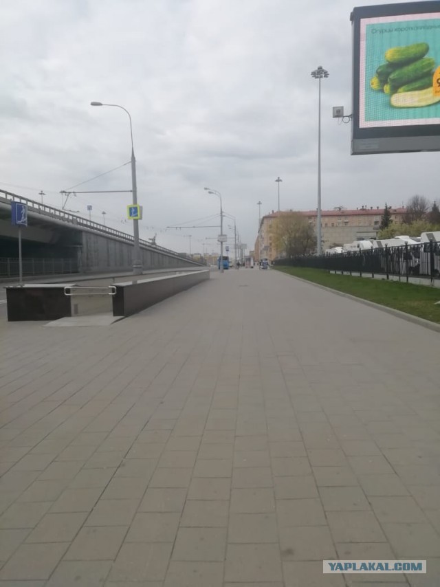 Пандемия. Коронавирус. Россия и мир. Последняя информация. Часть 14