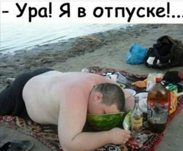 15 животных, которых можно встретить и покормить в разных странах мира, совсем как привычных нам голубей
