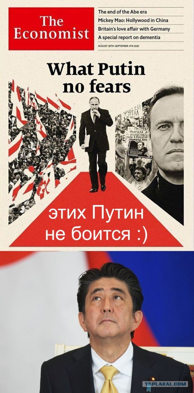 Что произошло с Навальным на самом деле