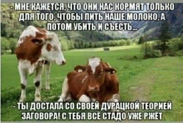 На США идёт аномальный холод