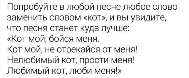 Бредзона 29.12.2020
