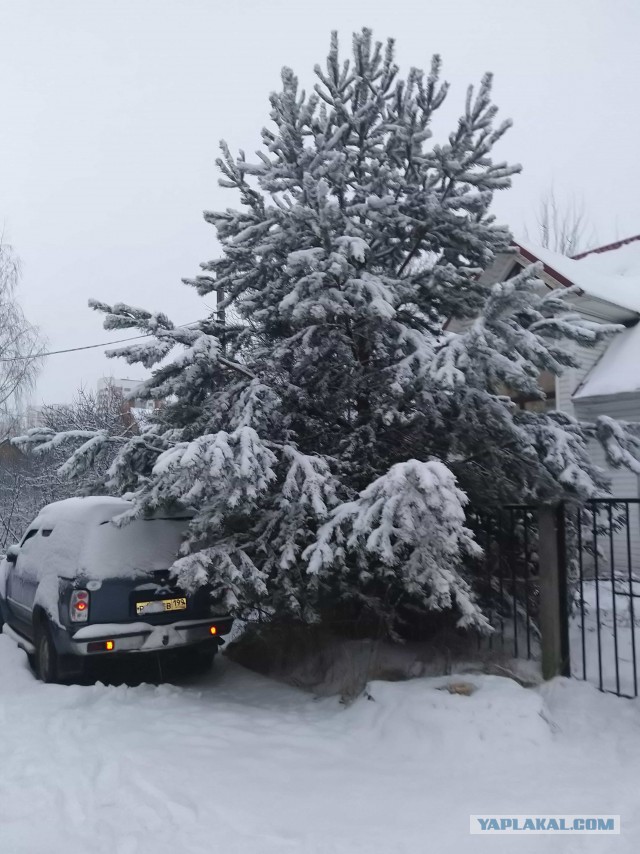 Двойные стандарты