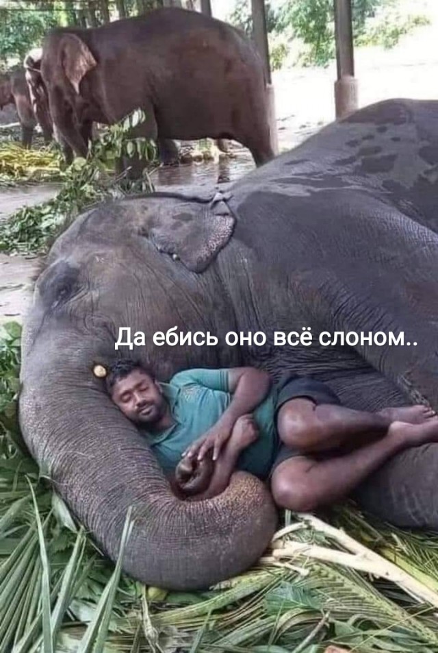Вы когда жить собираетесь, если проработаете всю жизнь?