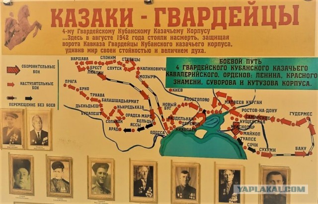 9-я пластунская Краснодарская Краснознаменная горнострелковая дивизия. Как казаки воевали с гитлеровцами.