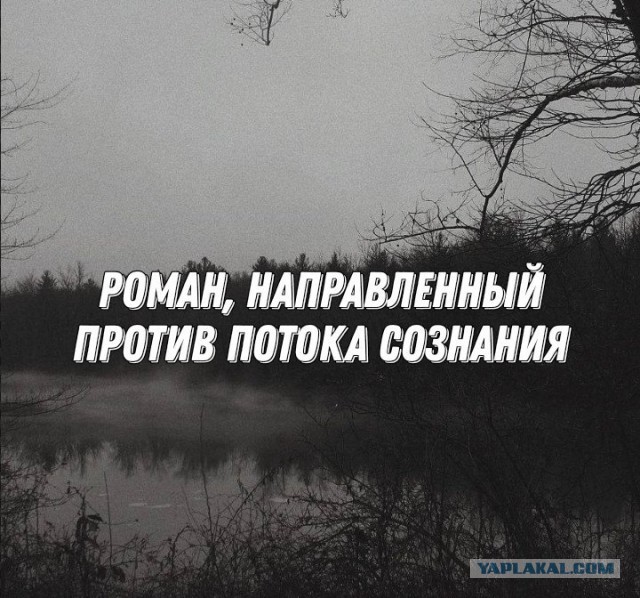 Обращение Пушилина к Зеленскому