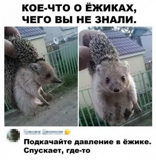 Картинки и мемы для настроения