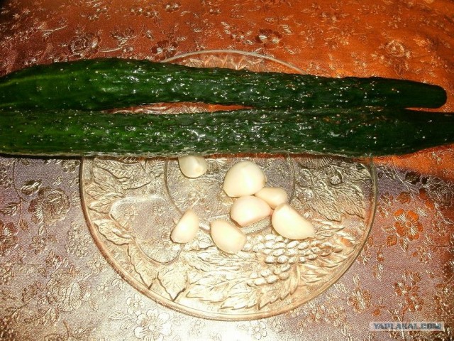 Пятничные посиделки на теплотрассе ©