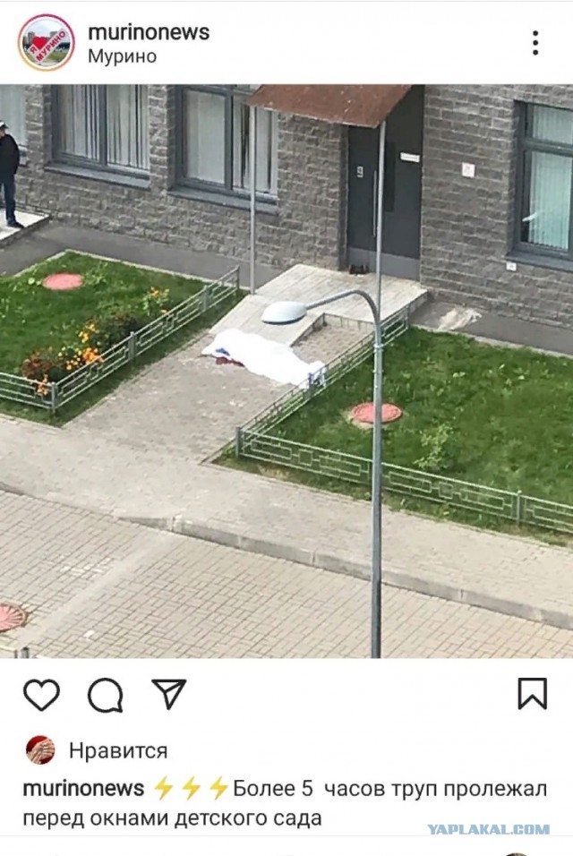 Мурино. Опять летают. Но, теперь уже страшно