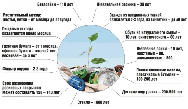 Минутка экологии. Что экологичней - бумага или пластик?