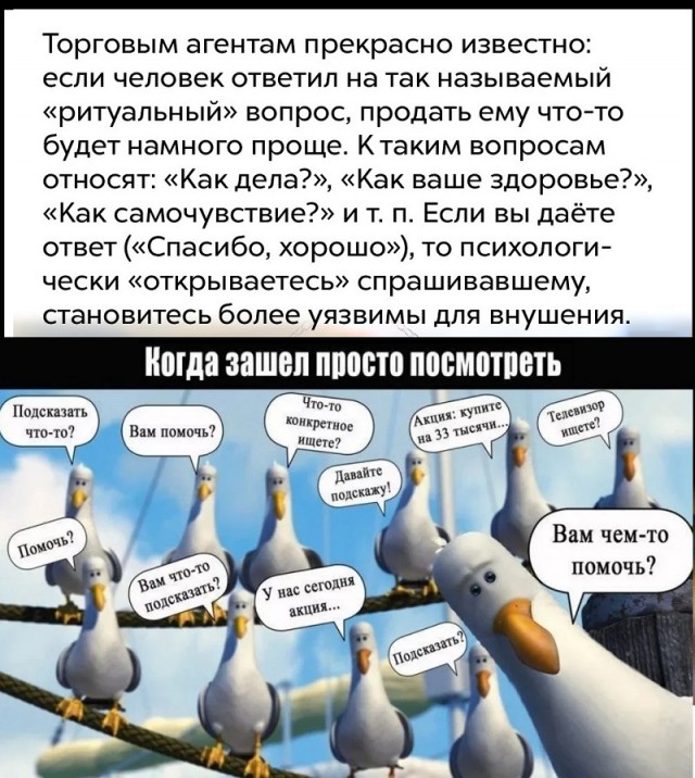 Занимательные факты о разном