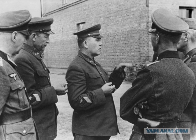 В 1941 обычный полковник предвидел и объяснил страшные поражения Красной армии