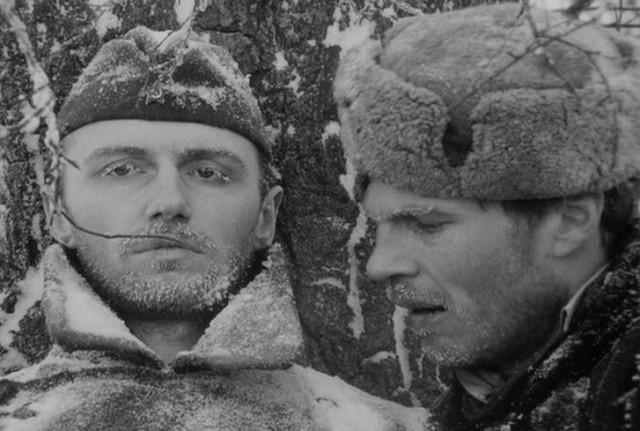 Подборка фильмов про суровую зиму и выживание во льдах