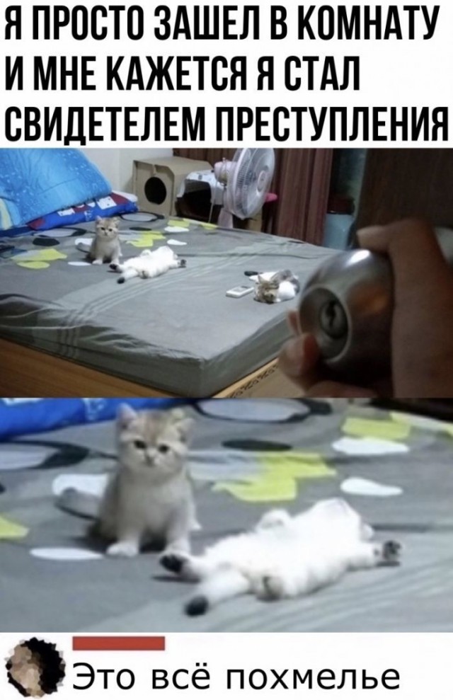 Алкопост 17.12.21
