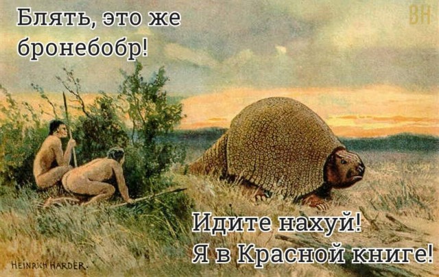 Всяческие картинки 22.12.2021