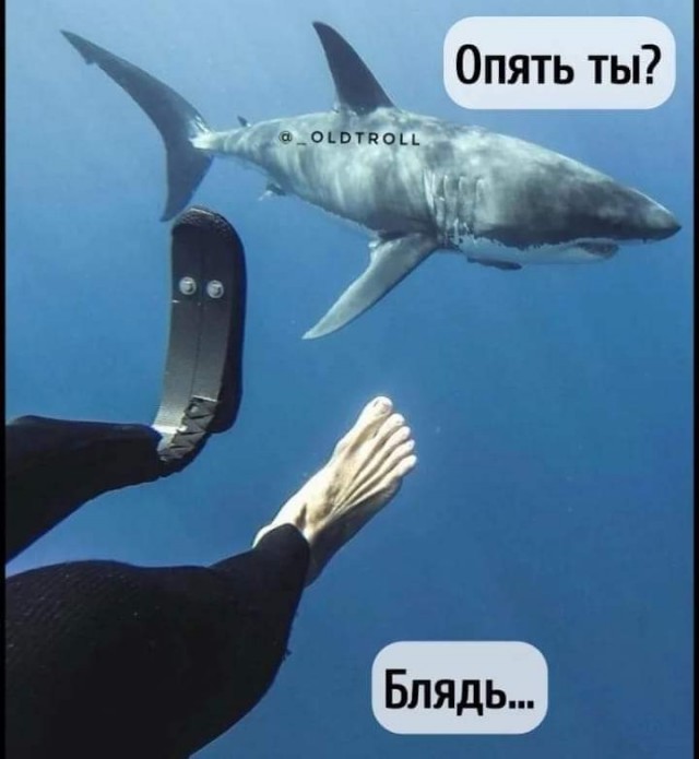 Всяческие картинки 02.02.2022
