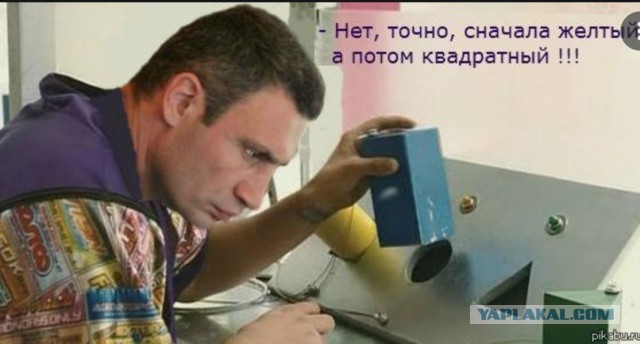 Какая умная птичка