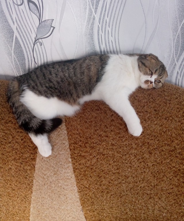 Котовторниковское