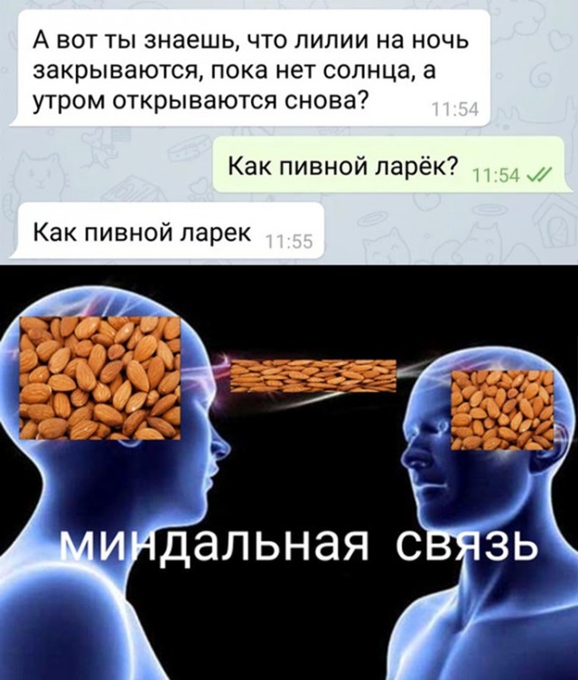Весёлый полтишок 24.05.22