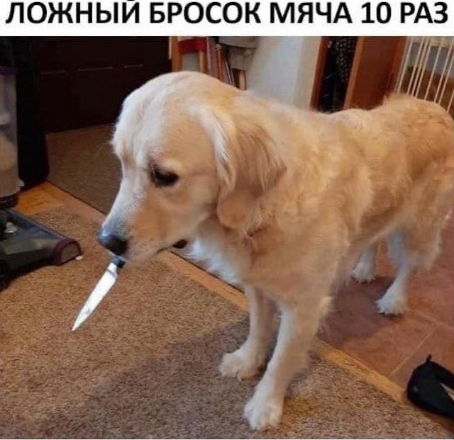 Чуток картинок 22.07.22