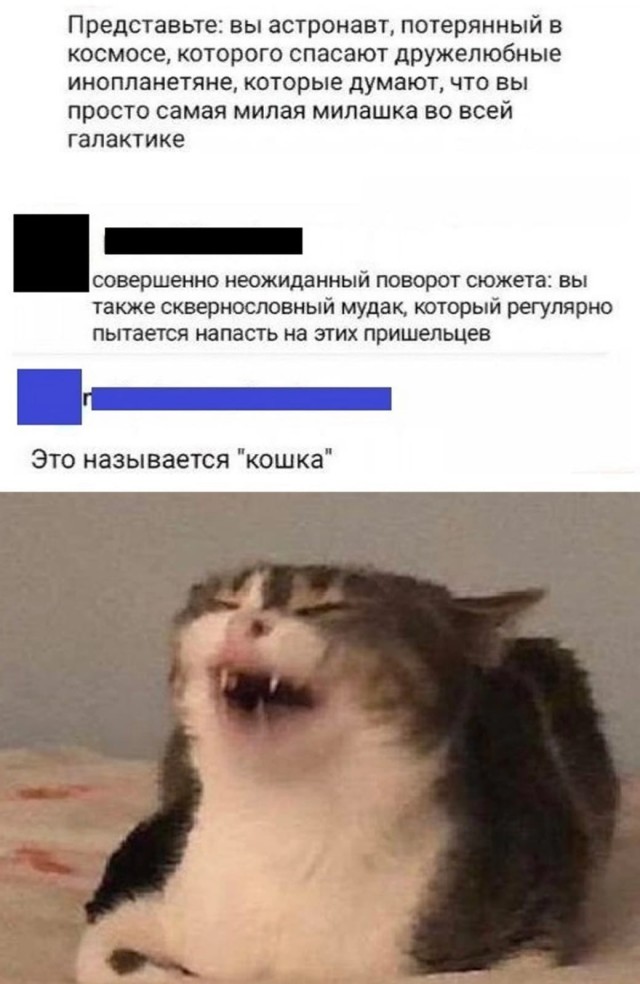 Немного картинок для настроения - 119