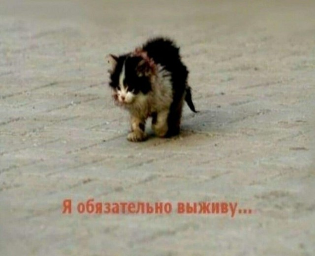 42 года - полёт нормальный