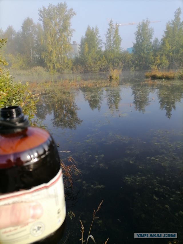 Война, мост, яо, а у меня рыбалка. И к **ям все
