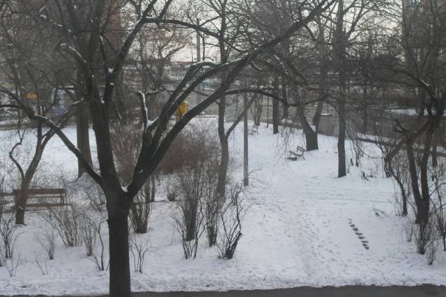 Весна и Пушкин